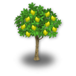 Detail Lemon Tree Png Nomer 53