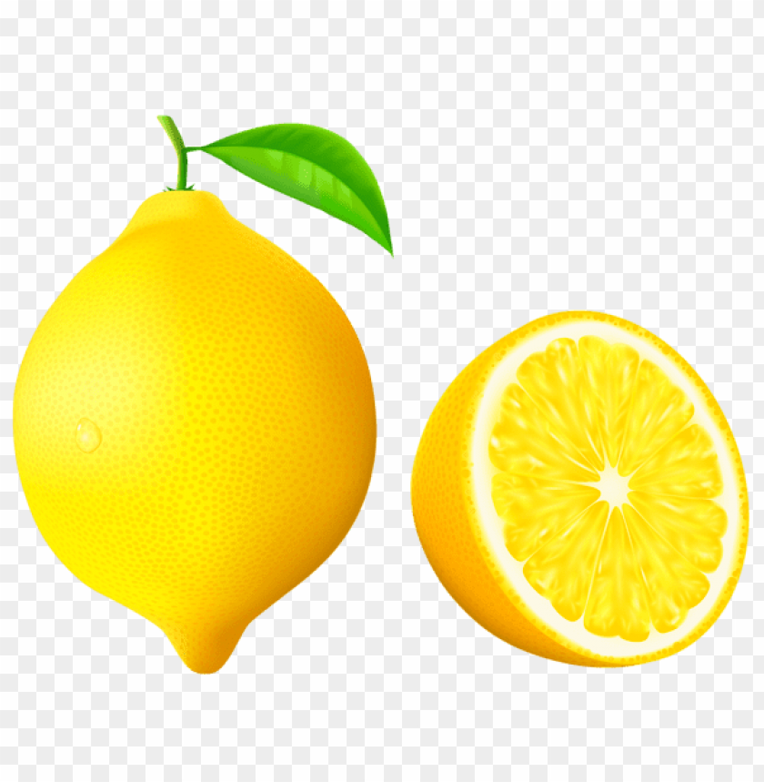 Detail Lemon Vector Png Nomer 3