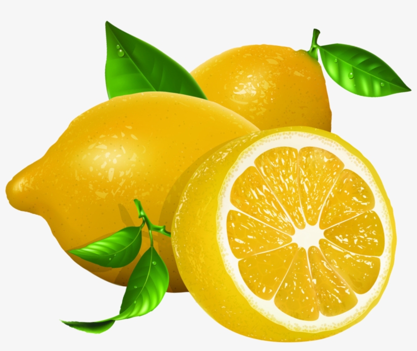 Detail Lemon Vector Png Nomer 23