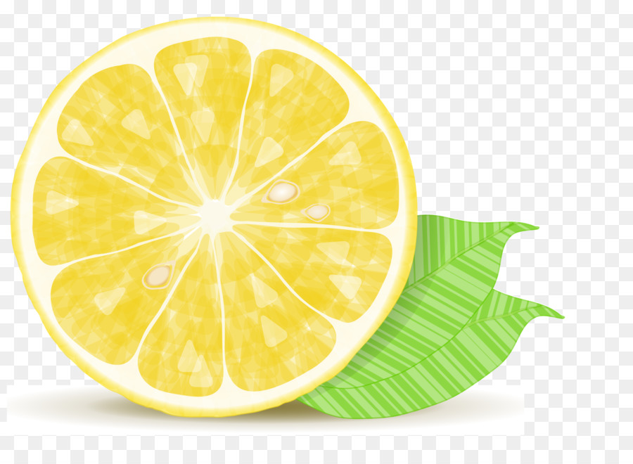 Detail Lemon Vector Png Nomer 52