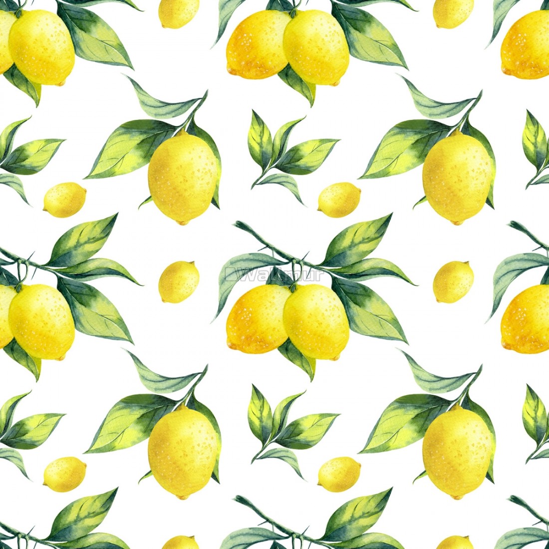 Detail Lemon Wallpaper Hd Nomer 38