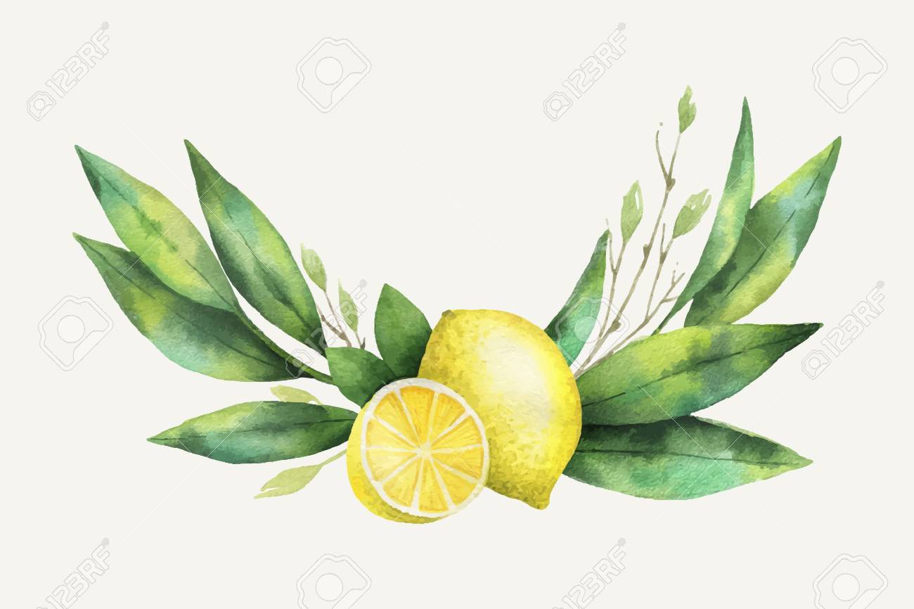 Detail Lemon Wreath Clipart Nomer 16
