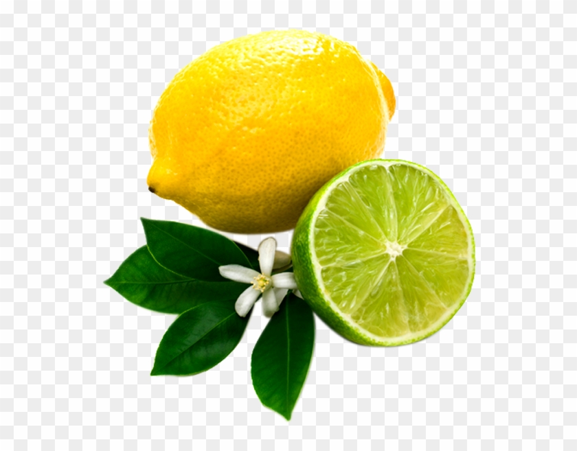 Detail Lemons Transparent Background Nomer 37