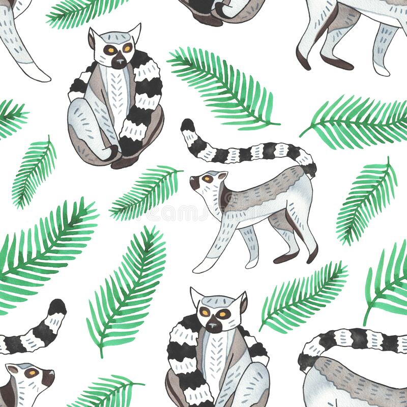 Detail Lemur Background Nomer 49