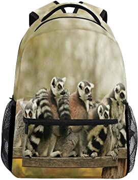 Detail Lemur Backpack Nomer 20