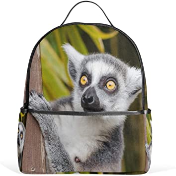 Detail Lemur Backpack Nomer 3