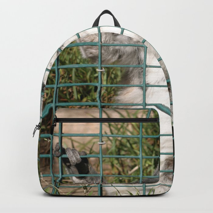 Detail Lemur Backpack Nomer 23