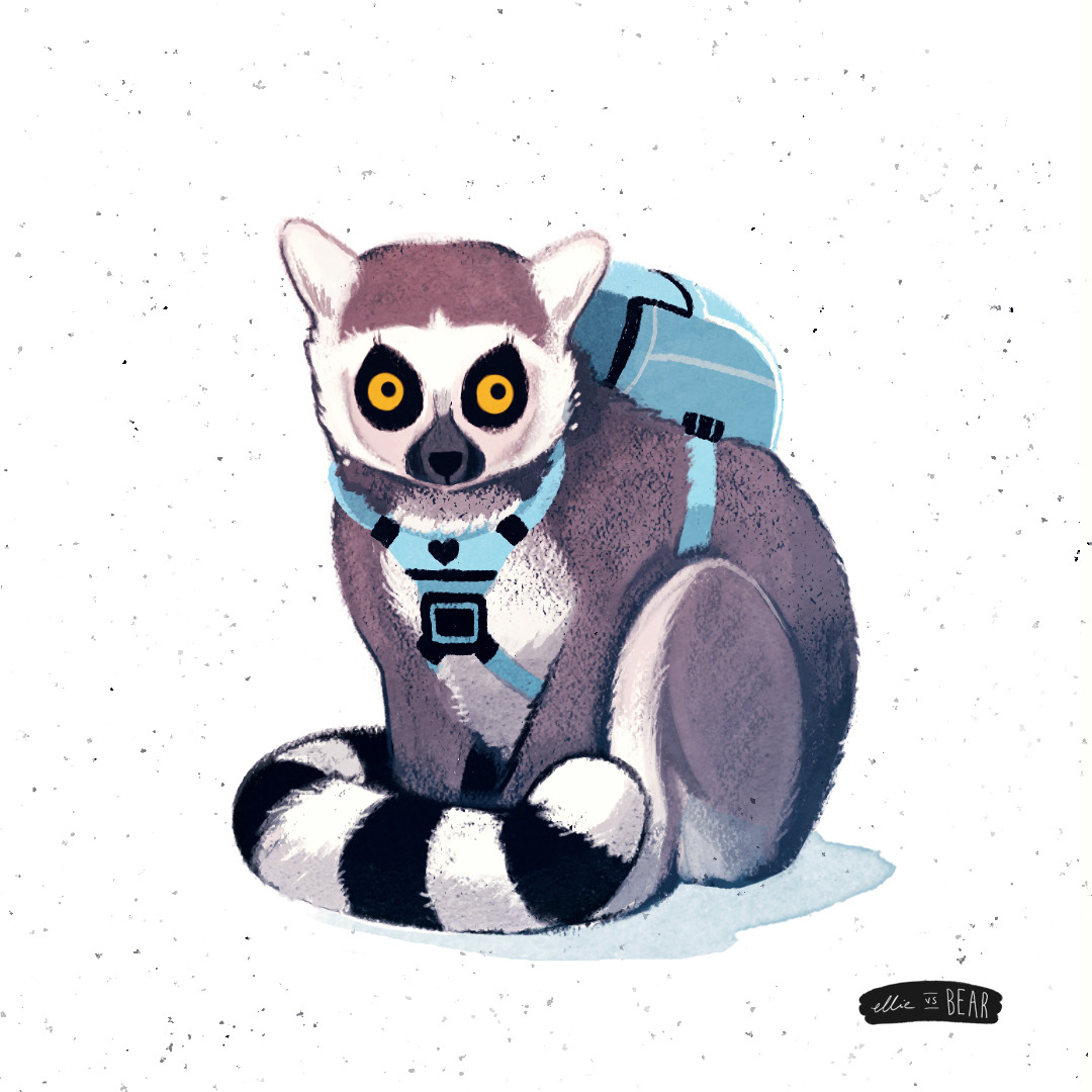 Detail Lemur Backpack Nomer 31