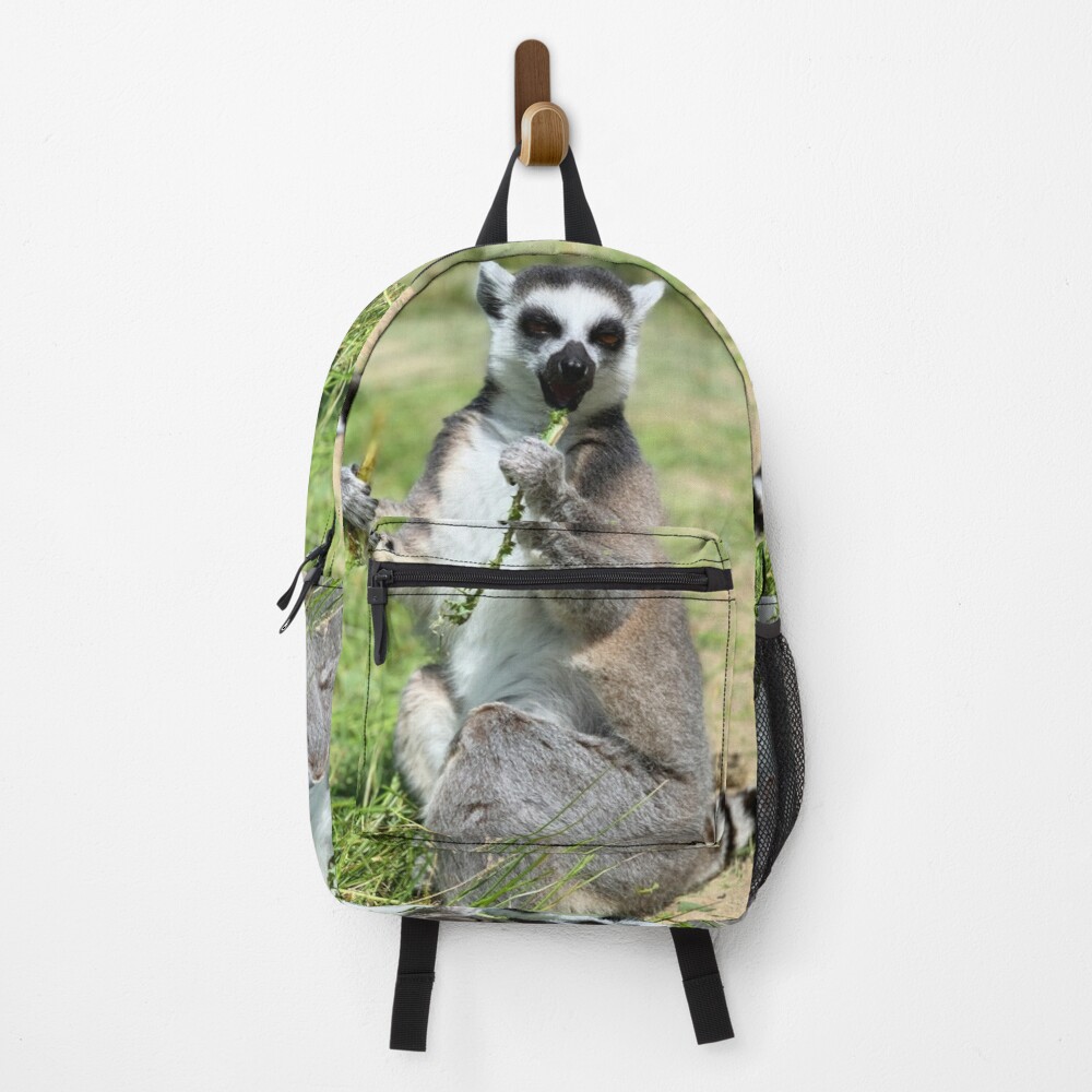 Detail Lemur Backpack Nomer 5
