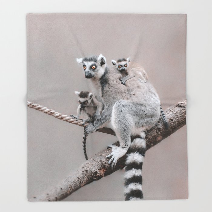 Detail Lemur Blanket Nomer 9