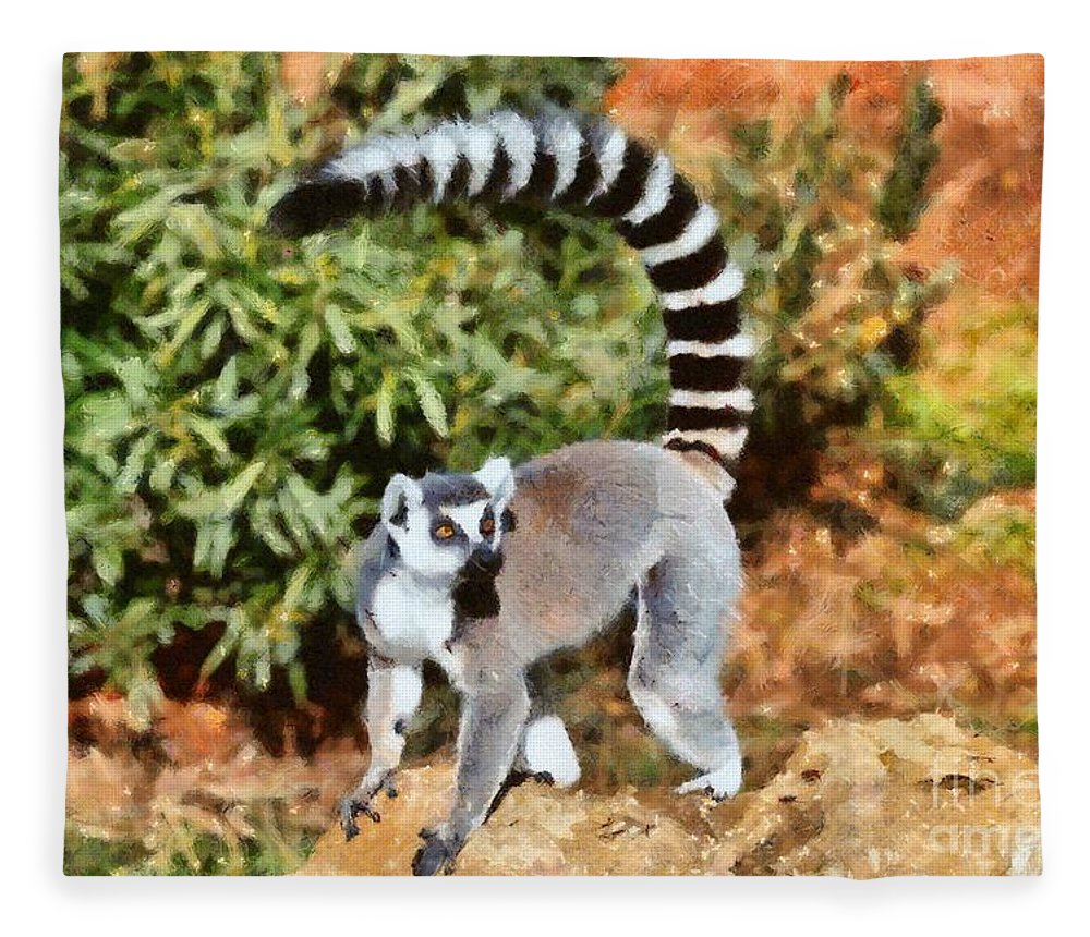 Detail Lemur Blanket Nomer 10