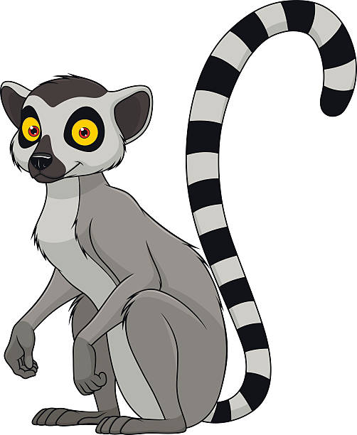 Lemur Clipart - KibrisPDR