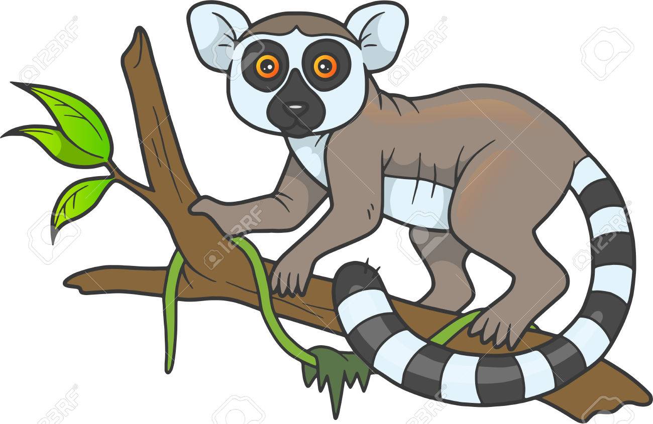 Detail Lemur Clipart Nomer 9