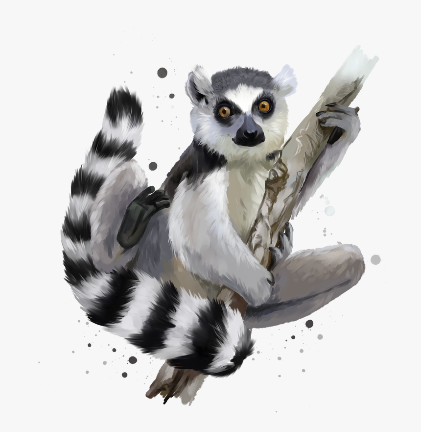 Detail Lemur Clipart Nomer 22