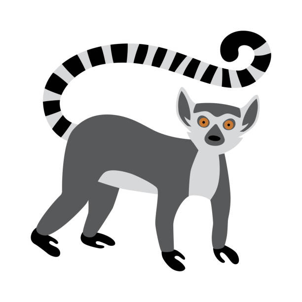 Detail Lemur Clipart Nomer 7