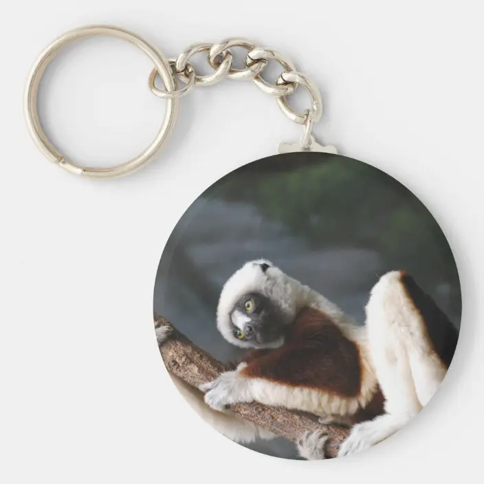 Detail Lemur Keychain Nomer 13