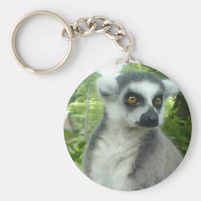 Detail Lemur Keychain Nomer 4