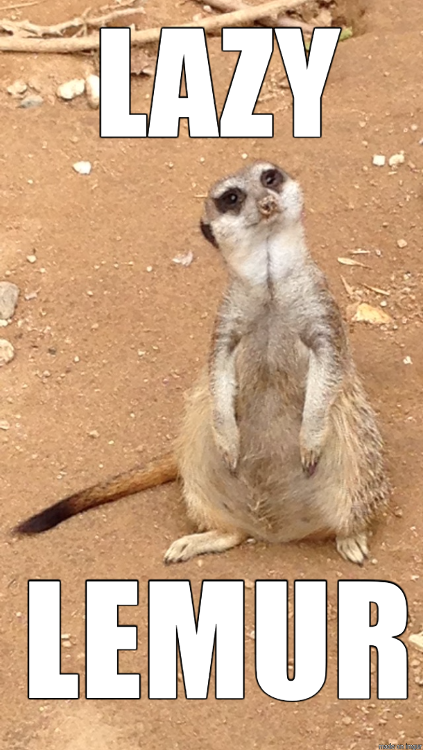 Detail Lemur Meme Nomer 40