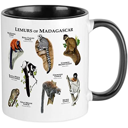 Detail Lemur Mug Nomer 24