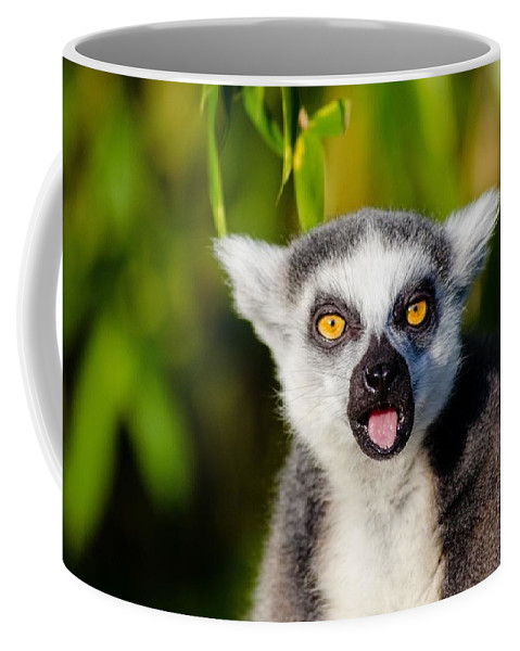 Detail Lemur Mug Nomer 28