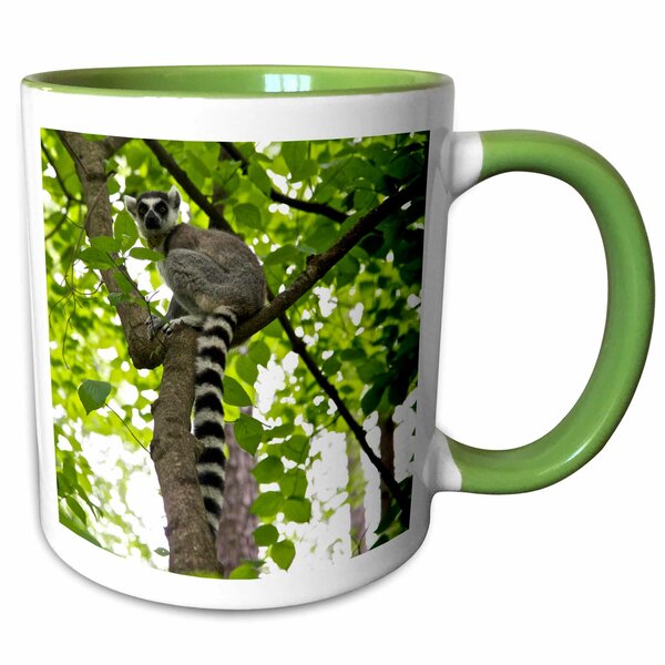 Detail Lemur Mug Nomer 31