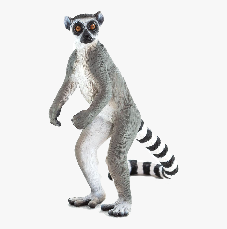 Detail Lemur Png Nomer 3