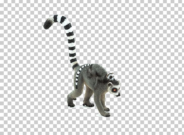 Detail Lemur Png Nomer 32