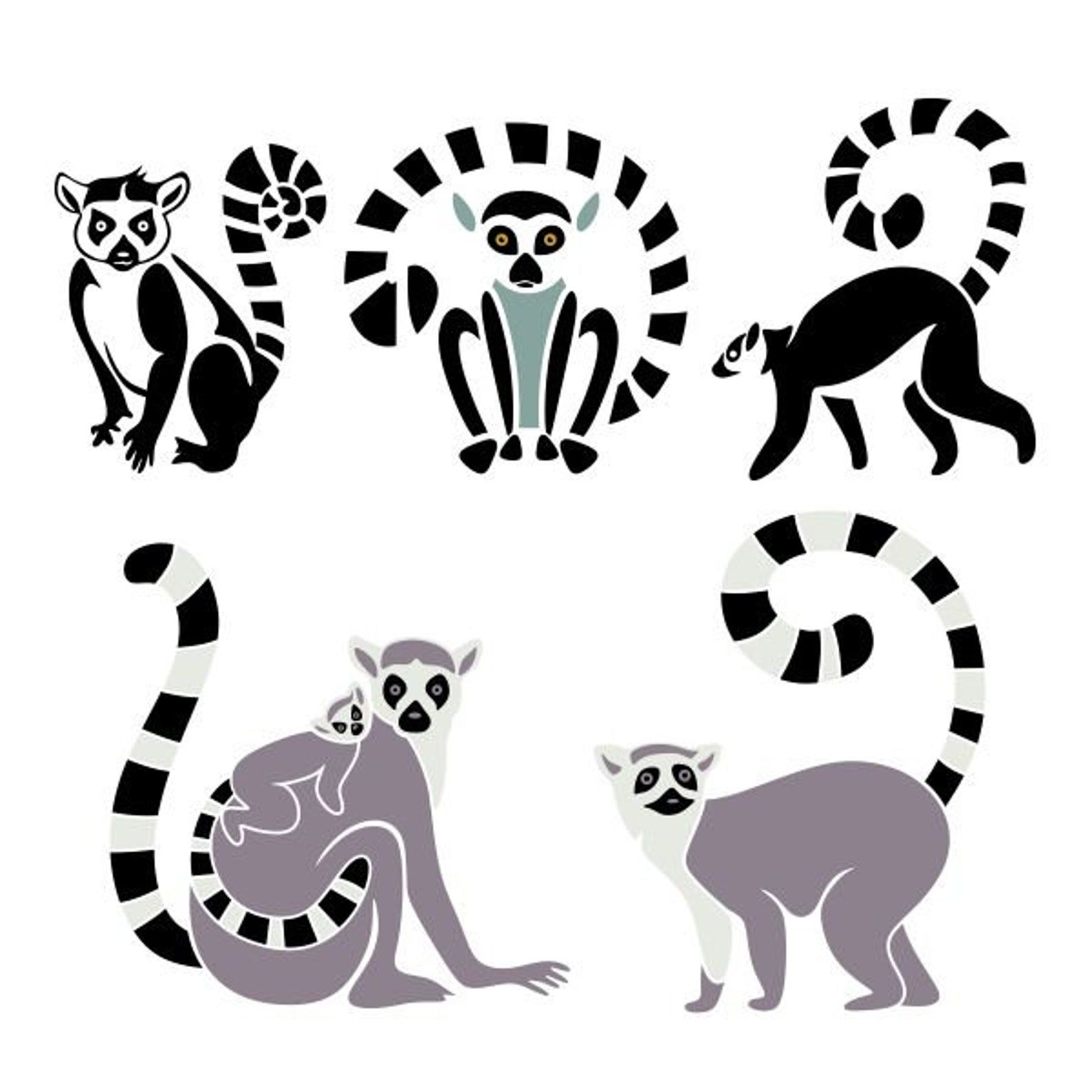 Detail Lemur Png Nomer 44