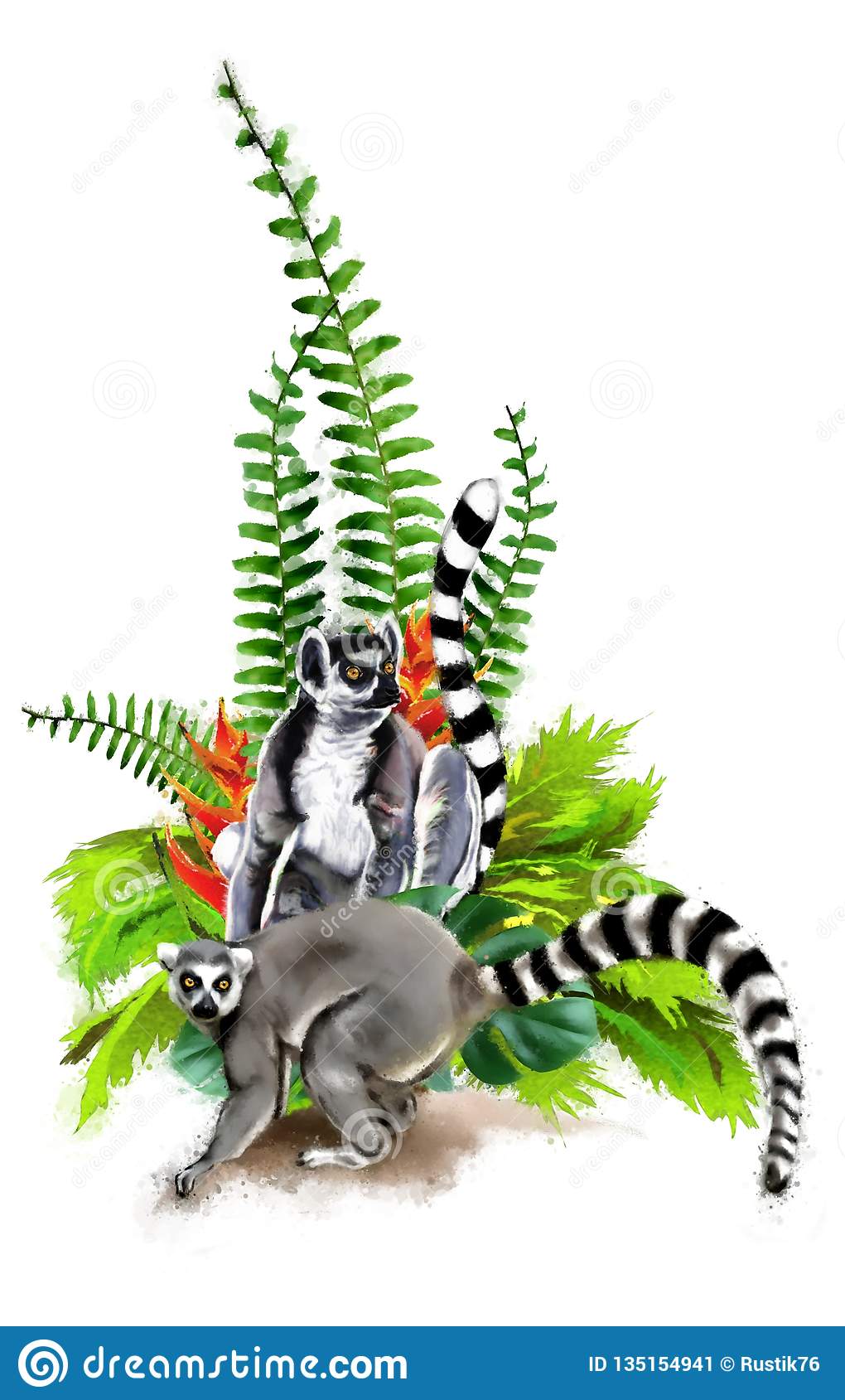 Detail Lemur Png Nomer 52