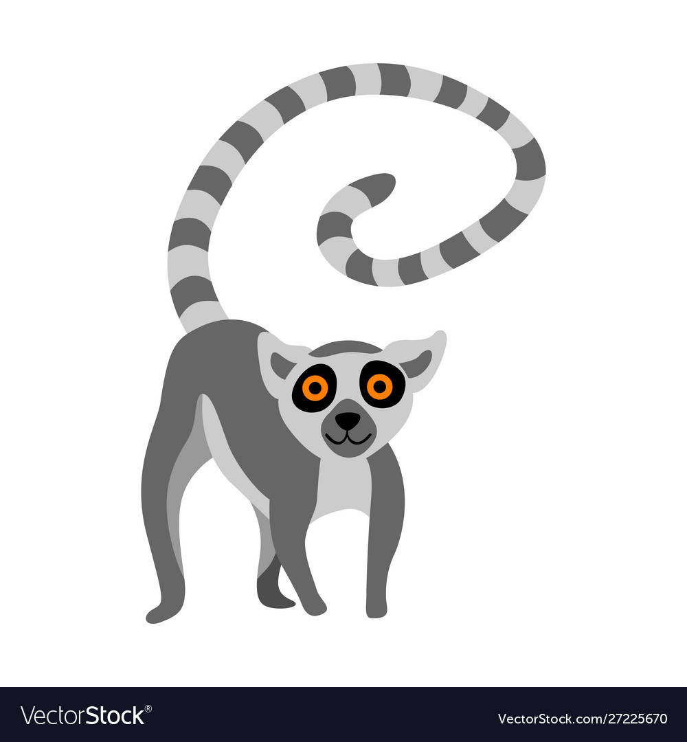 Detail Lemur Vector Nomer 11