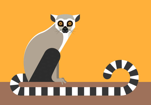 Detail Lemur Vector Nomer 3