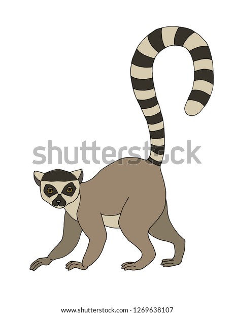 Detail Lemur Vector Nomer 22