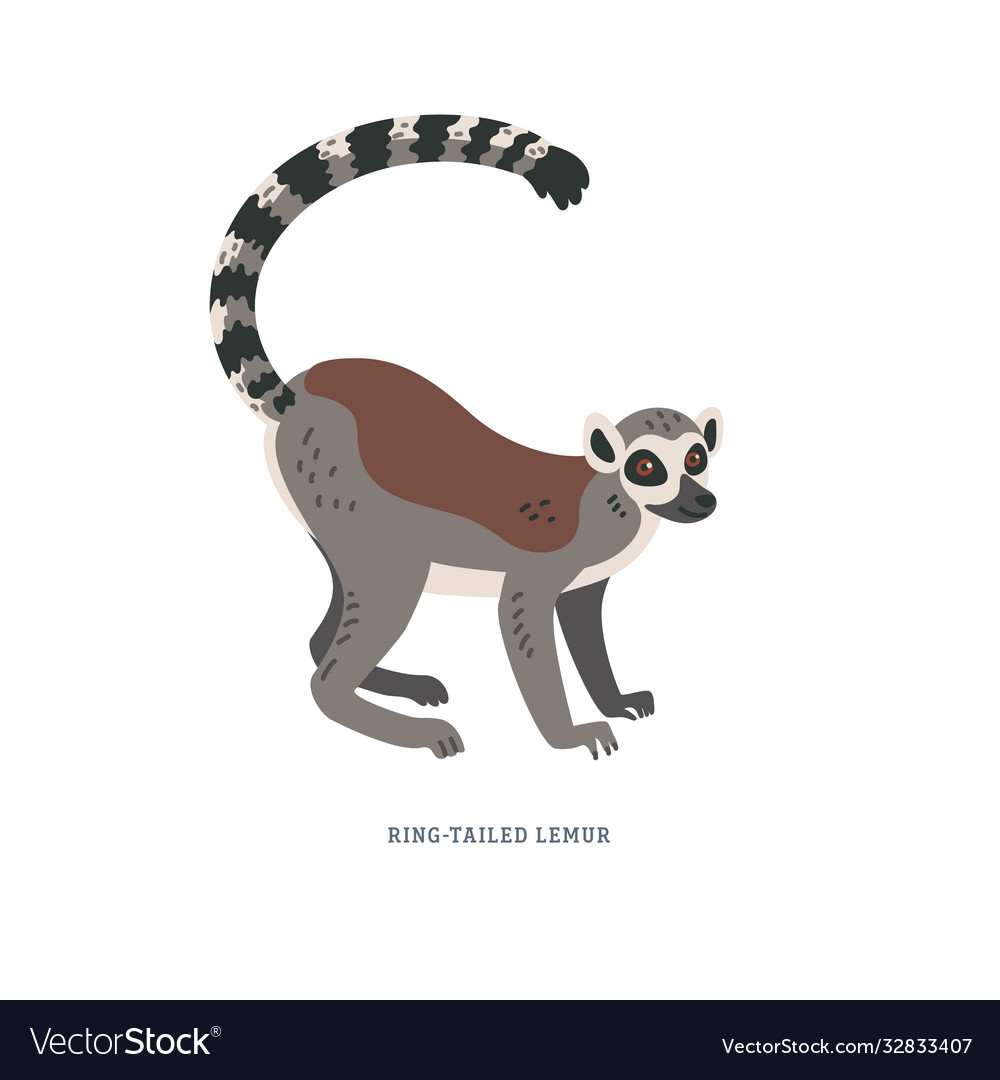 Detail Lemur Vector Nomer 24