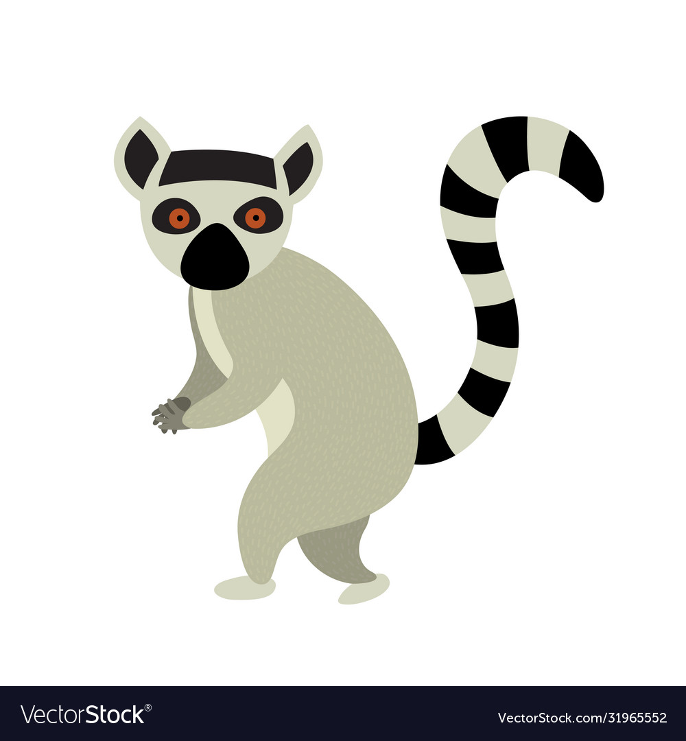 Detail Lemur Vector Nomer 25