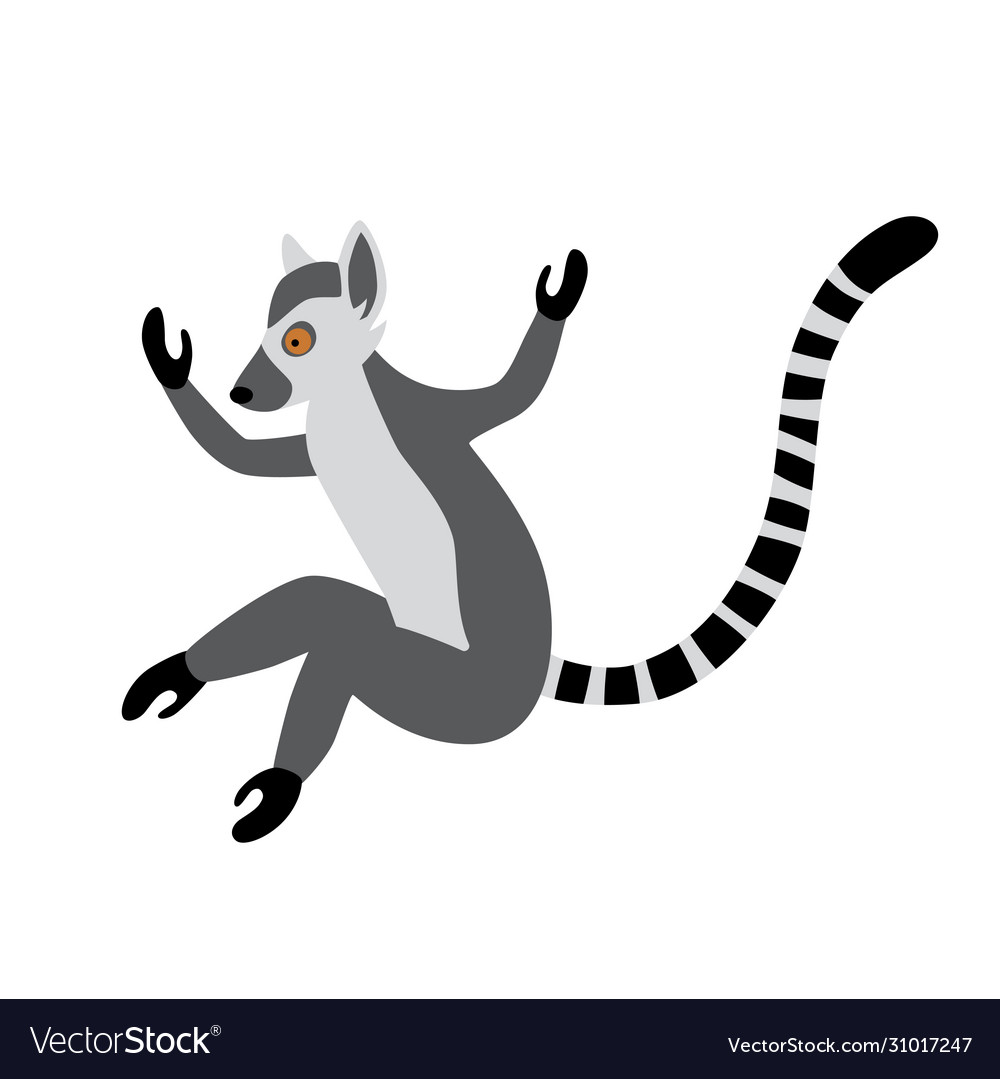 Detail Lemur Vector Nomer 26