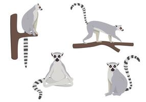 Detail Lemur Vector Nomer 4