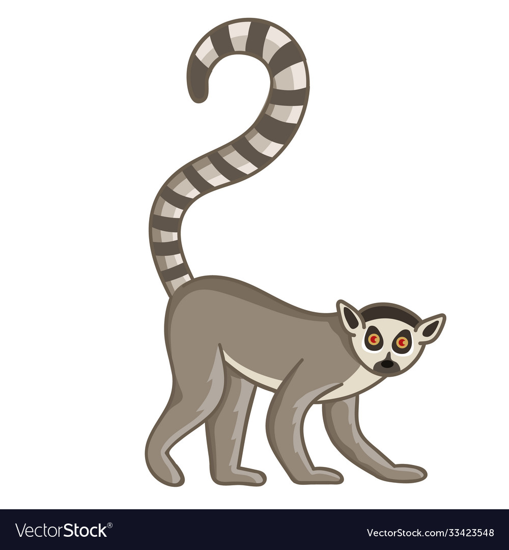 Detail Lemur Vector Nomer 34