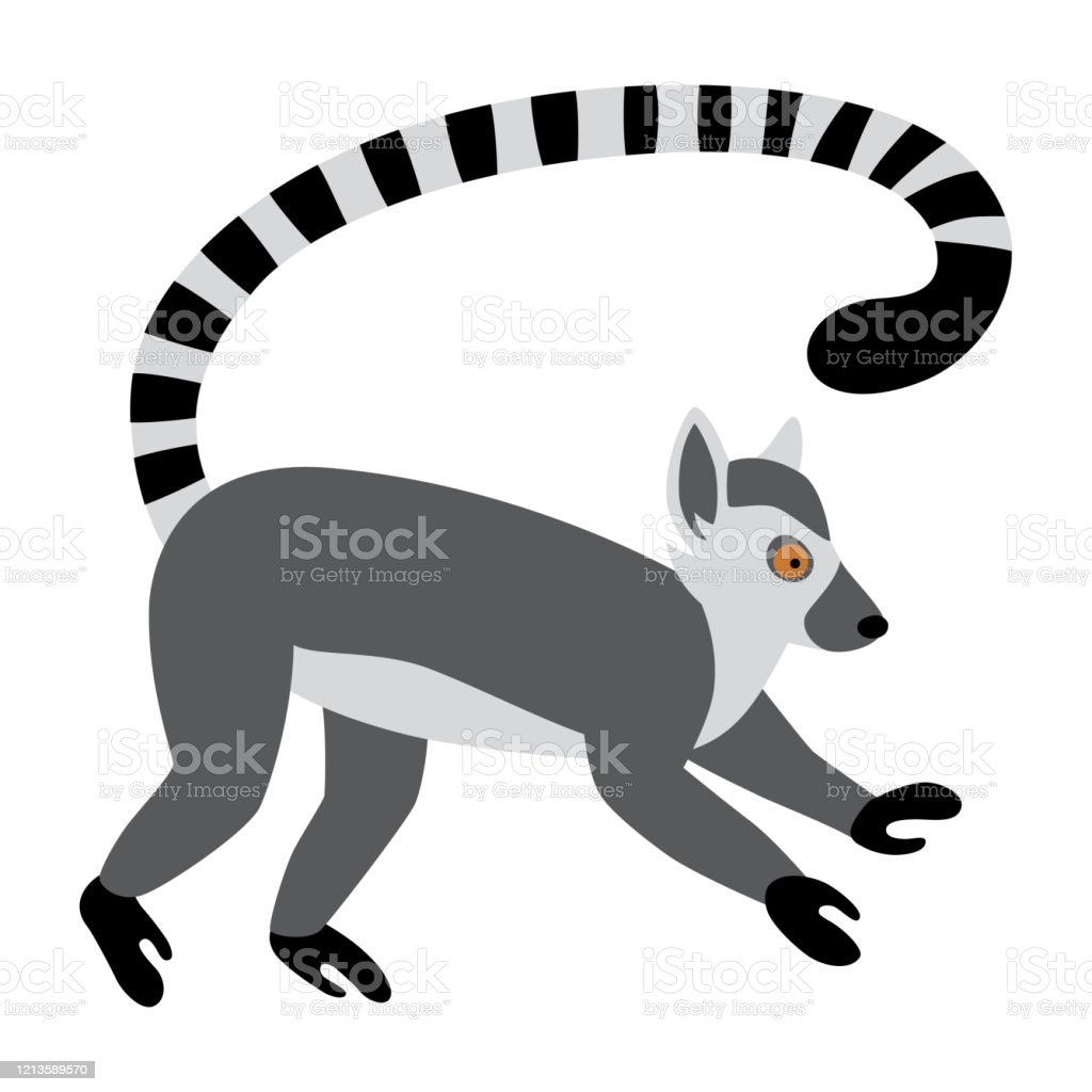 Detail Lemur Vector Nomer 35