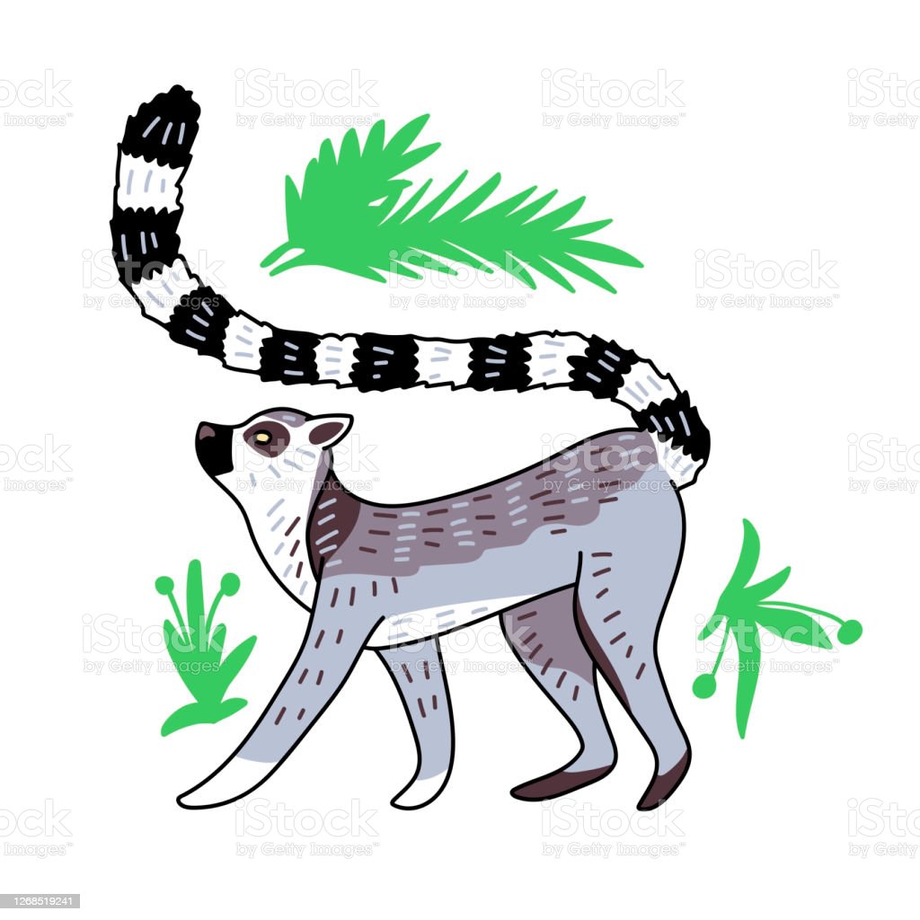 Detail Lemur Vector Nomer 39