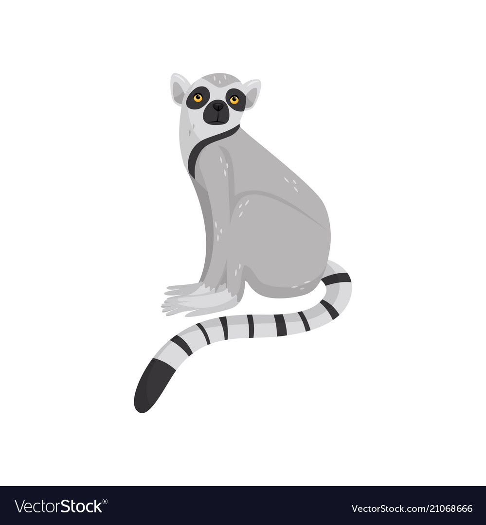 Detail Lemur Vector Nomer 5