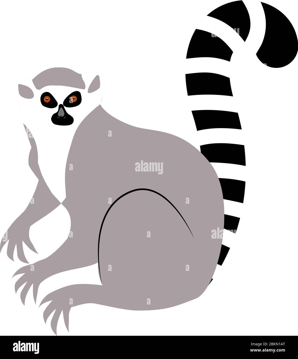 Detail Lemur Vector Nomer 41