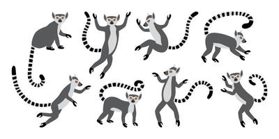 Detail Lemur Vector Nomer 44