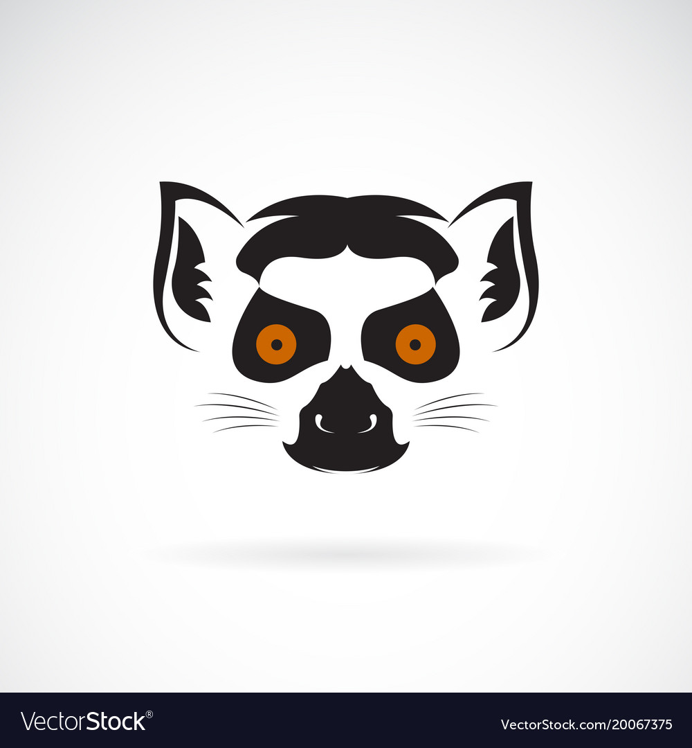 Detail Lemur Vector Nomer 6