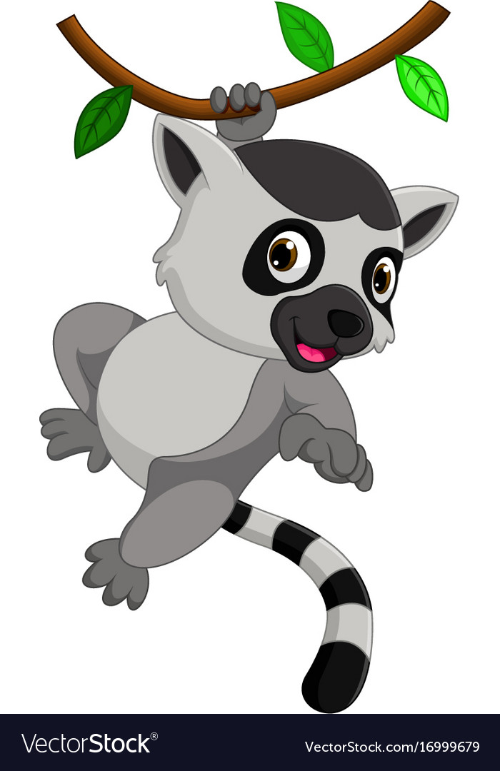 Detail Lemur Vector Nomer 57