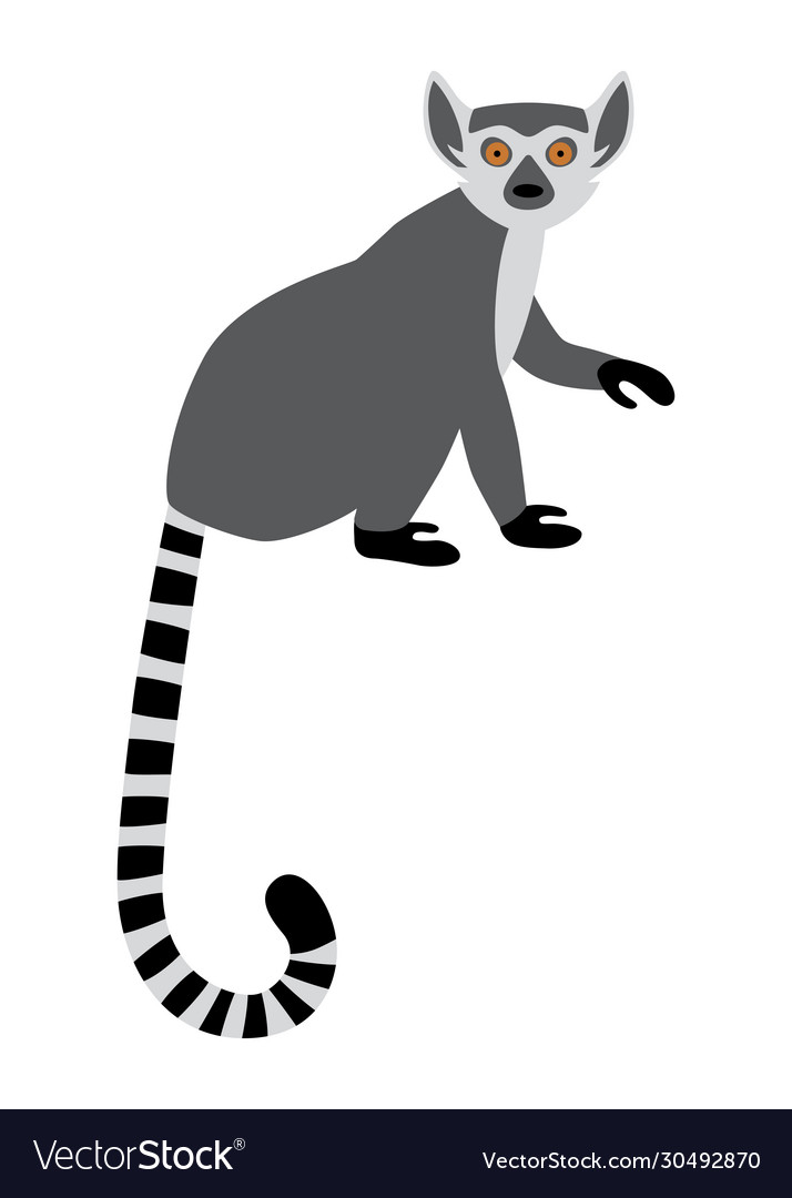 Detail Lemur Vector Nomer 8