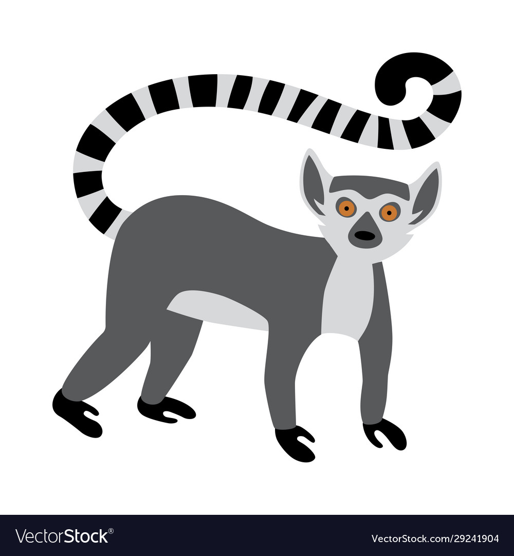 Detail Lemur Vector Nomer 9