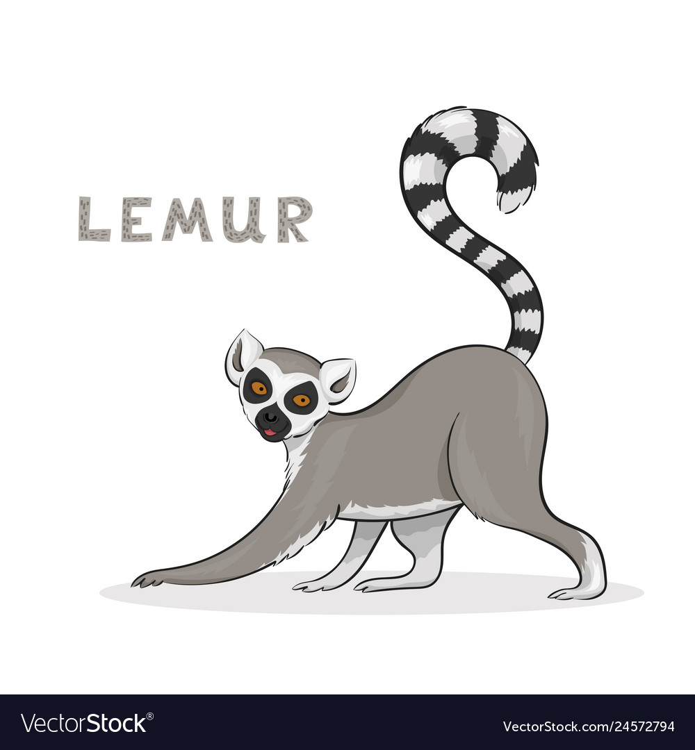 Detail Lemur Vector Nomer 10