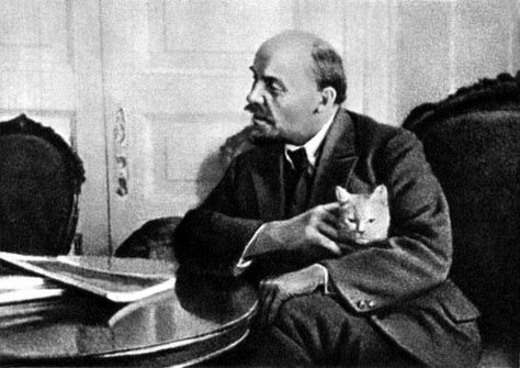 Detail Lenin Cats Nomer 10
