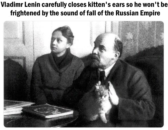 Detail Lenin Cats Nomer 13