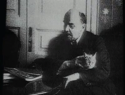 Detail Lenin Cats Nomer 16